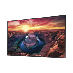 Pantalla Profesional LED de 43", UHD 4K (3840x2160p), Entradas de Video HDMI