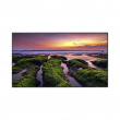 Pantalla Profesional LED de 55", UHD 4K (3840x2160p), Entradas de Video HDMI