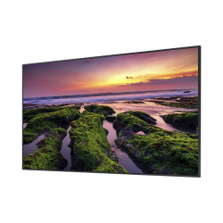 Pantalla Profesional LED de 55", UHD 4K (3840x2160p), Entradas de Video HDMI