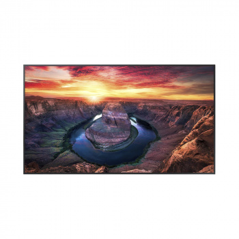 Pantalla Profesional LED de 55", UHD 4K (3840x2160p), Entradas de Video HDMI